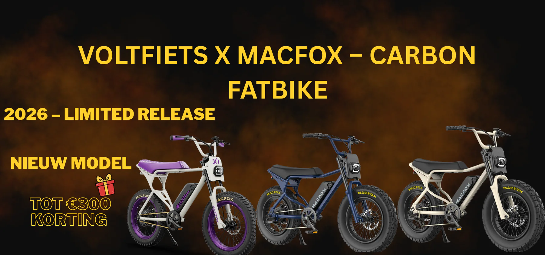 Jouw Ideale Fatbike in Haarlem