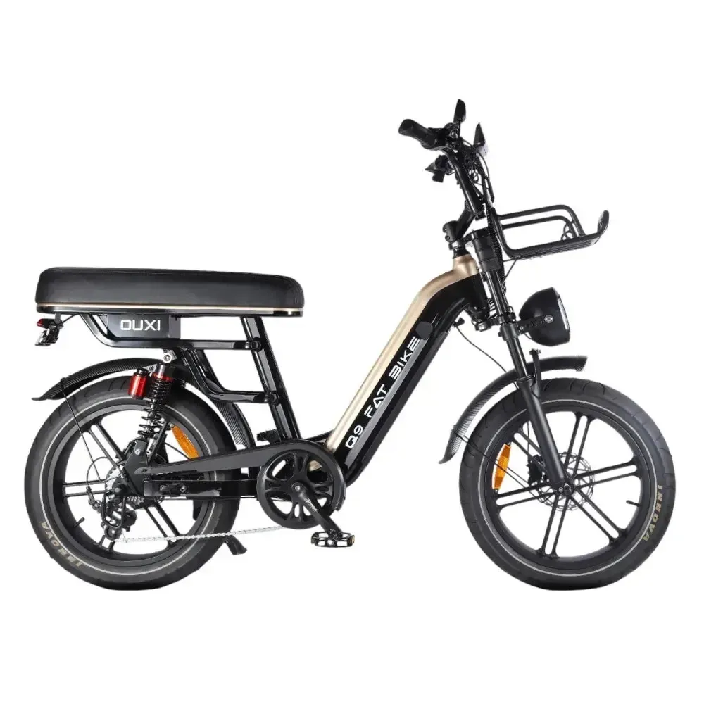 Fatbikes